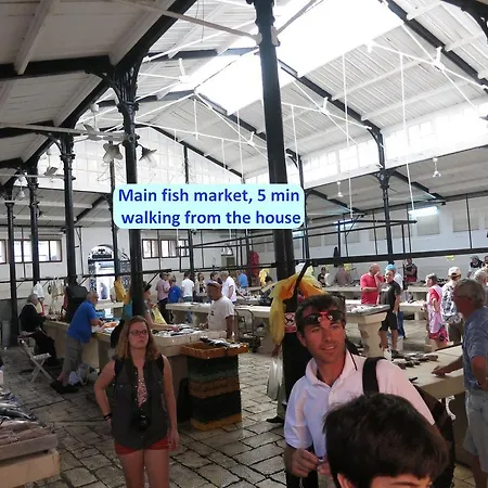 Marija In Perfect Location Spalato